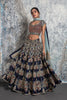 Navy blue sequinned Embroidered lehenga