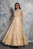 Peach and Gold Embroidered gown