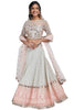 Grey and Pink Lucknowi Mirror Lehenga Set