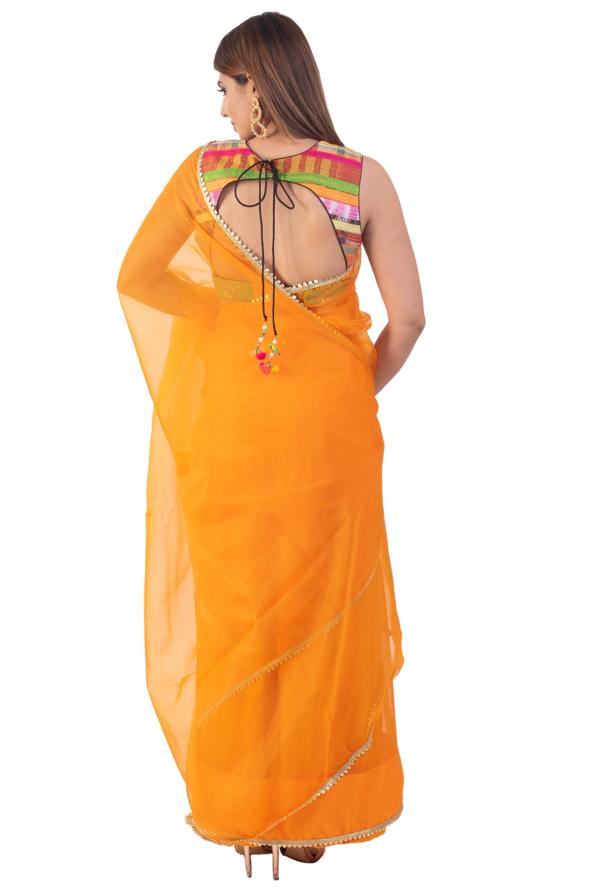 Orange Organza Saree With Multicoloured Blouse